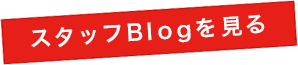 スタッフブログを見る
