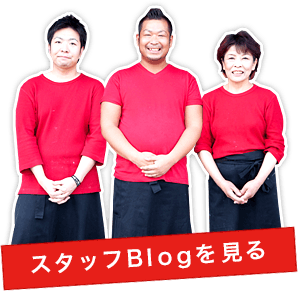 スタッフブログを見る